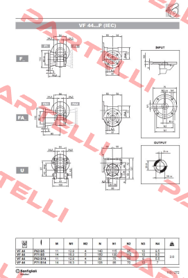 VF 44 F1 70 P63 B5 B3  Neri Motori