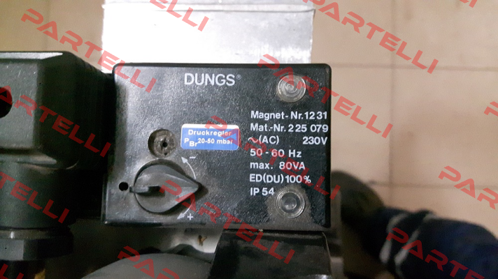 228295 (1231 AC 230 V IP 54) Dungs