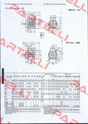 HBV 100 LA2 - 3 kW  Seimec (Rossi)