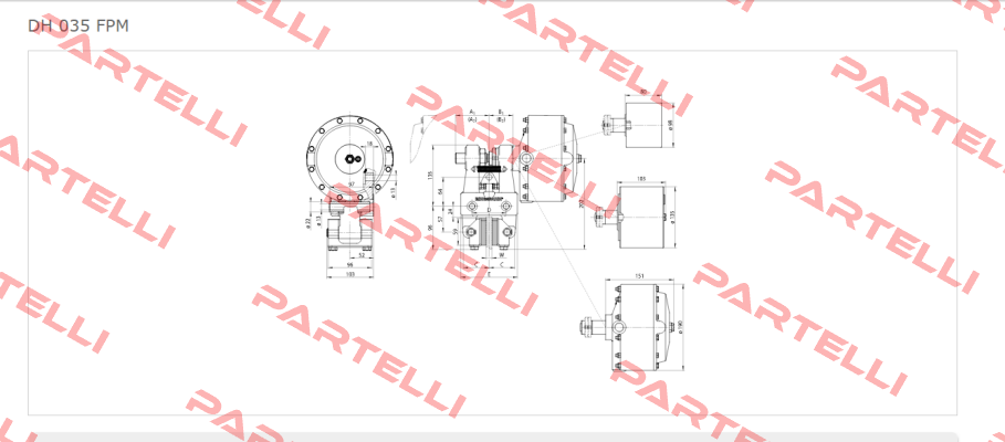 DH 035 FPM-122R-12  Ringspann