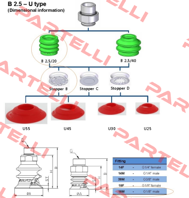 MS 20 B  Vmeca