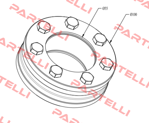 RFN4061 55X100 Ringfeder