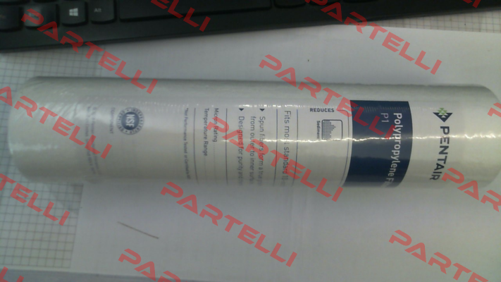 PN: 155225-43 Type: P1 9 7/8" Pentek (Pentair)