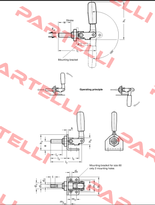 P/N: GN 843.1-165-AS, Type: GG.AS406 Speedy Block