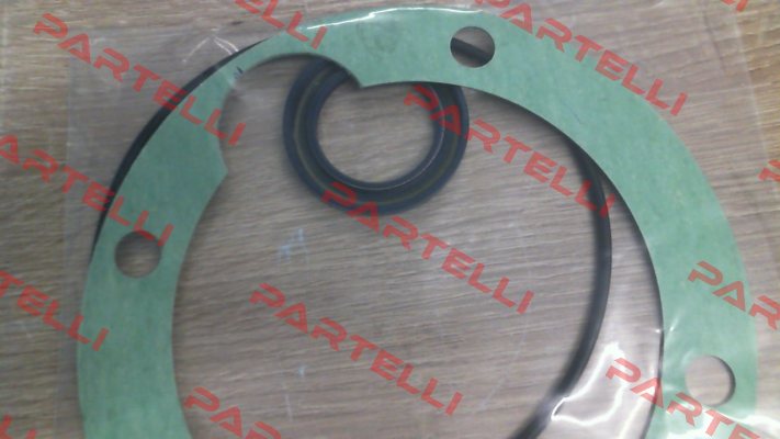 SEAL KIT for GR70-SMT16B pump Settima