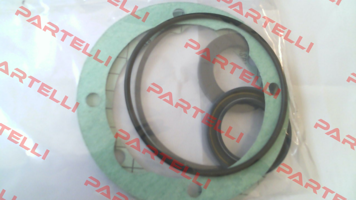 Seal KIT for GR45-SMT16B-180L-RF1 Settima