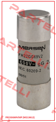 FR22GG69V50P (M213612)  Mersen