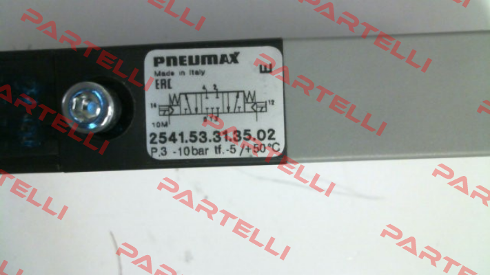 2541.53.31.35.02 Pneumax